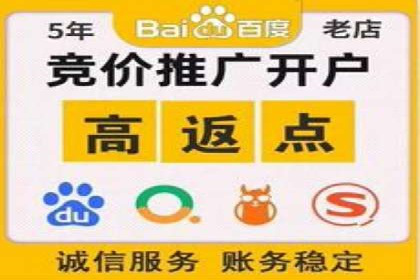 百度推广返点策略：成功案例分享